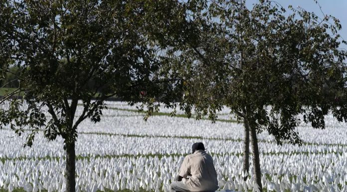 US deaths fell this year, but not to pre-COVID levels