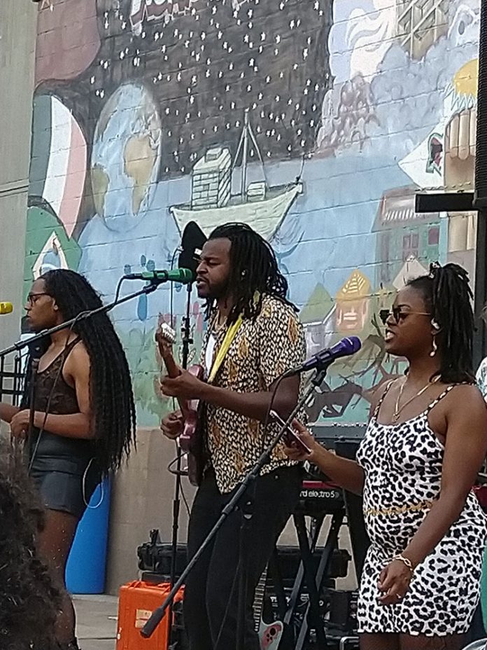 Sinkane by Susan Budig