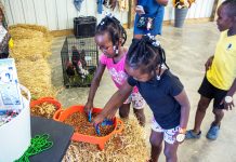 Anoka County to host free resource fair for current and aspiring family child care providers