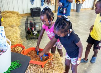 Anoka County to host free resource fair for current and aspiring family child care providers