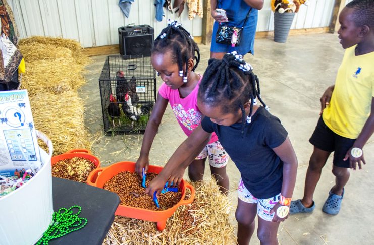 Anoka County to host free resource fair for current and aspiring family child care providers